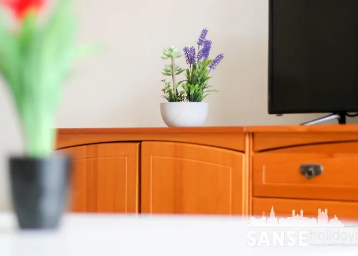 Colon By Sanse Holidays * San Sebastian